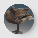 Search for goose clocks Canada