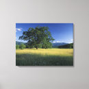 Search for adams canvas prints National park