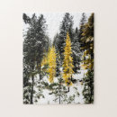 Search for tamarack Winter