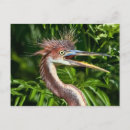Search for bad day postcards Wildlife