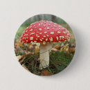 Search for toadstool badges Red