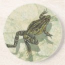 Search for amphibian barware Toad