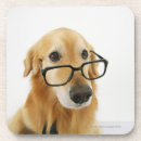 Search for office humour coasters Nature