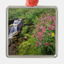 Search for waterfall christmas tree decorations Ie