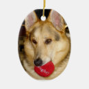 Search for shepherd oval christmas tree decorations Xmas