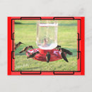 Search for hummer postcards Birds