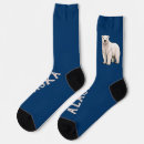 Search for blue bear clothing Animal
