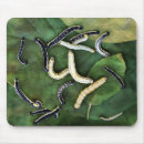 Search for worms mousepads Fishing