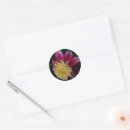 Search for anemone flower stickers Botanical