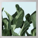 Search for tropical leaves posters Palms