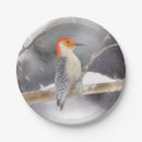 Search for bird paper plates Winter