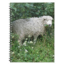 Search for cute sheep notebooks Woolly