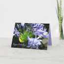 Search for nile cards Blue