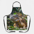 Search for lizard aprons Tropical