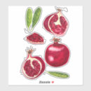 Search for pomegranate fruit stickers Watercolor