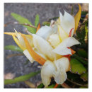 Search for exotic tiles Blossom