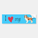 Search for cavalier bumper stickers Cavalier king charles spaniel