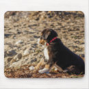 Search for bernese mountain dog mousepads Cute