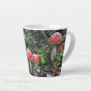 Search for amanita mugs Fly agaric
