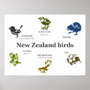 Search for maori tribal art Koru