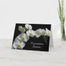 Search for white orchids cards Tropical