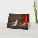 Search for hum photography Animal
