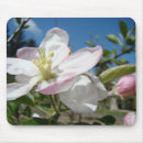 Search for apple blossom mousepads Pink