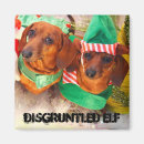 Search for weiner magnets Puppy