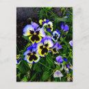 Search for jump postcards Blue