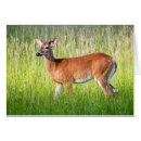 Search for sportsman cards Animal