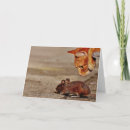 Search for playful cats cards Funny