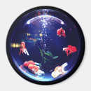 Search for aquarium magnets White