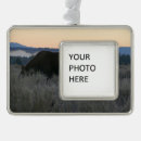 Search for moose christmas tree decorations National park