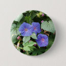 Search for brooch badges Blue