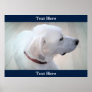 Search for loyal art Puppy