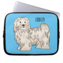 Search for havanese Pet