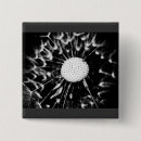 Search for dandelion badges Taraxacum