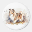 Search for sheltie magnets Miniature