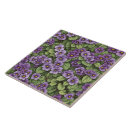 Search for african violet Pattern