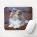 Search for long haired cat mousepads Pet