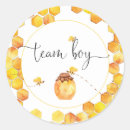 Search for bee gender reveal stickers Team boy