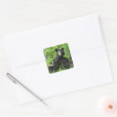 Search for bear cub stickers Trendy