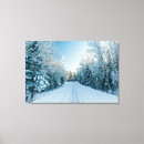 Search for fairy canvas prints Woodland