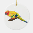 Search for conure christmas tree decorations Avian