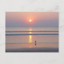 Search for ocean sunrise postcards Shore