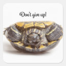 Search for upside down stickers Cute