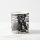 Search for staffordshire mugs Pit