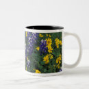 Search for bluebonnet mugs Field