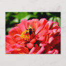 Search for bumble postcards Pink