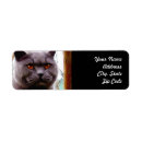 Search for return address posters Photography